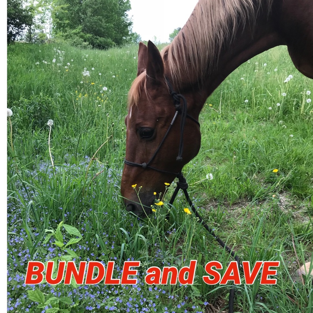Bundle and save